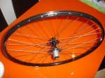 DSC02574.JPG