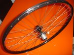 DSC02575.JPG