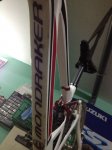 bici4.jpg