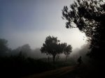 2013-09-21 09.14.24.jpg