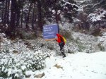 Foto4.JPG