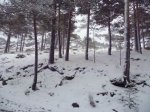 Foto6.JPG