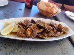 IMG_20131109_142530.jpg