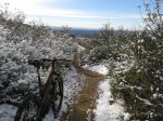 2013-11-16 11.01.28.jpg