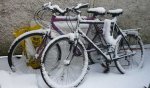 la bici amb neu.jpg