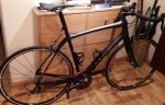 domane.jpg