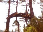naturaleza.jpg