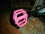 DSC04894.JPG