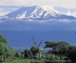 kilimanjaro.jpg