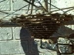 IMG_20131119_144929.jpg