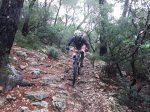 2013_11170020.jpg