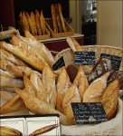 Sharon-Pics-France-2009-(2).jpg