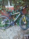bici2.jpg