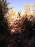 IMG-20131120-WA0008.jpg