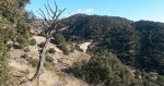 20131121_113724.jpg