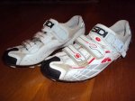 sidi spider.JPG