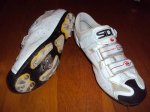 sidi spider (2).JPG