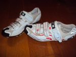 sidi spider (3).JPG