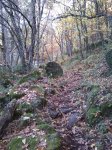 IMG_20131110_120955.jpg