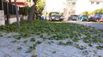 20131123_115212.jpg