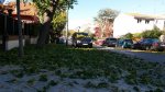 20131123_115228.jpg