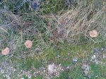 IMG_20131123_110055.jpg