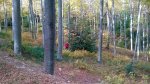 WP_20131123_003.jpg