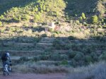 IMG_3801.JPG
