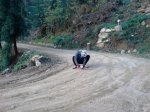 DSC08924.JPG