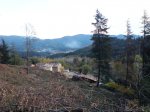 DSC08925.JPG