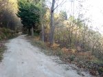 DSC08929.JPG