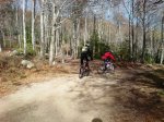 DSC08931.JPG
