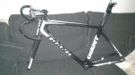 giant 020.jpg