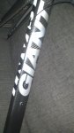 giant 032.jpg