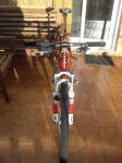 IMGP3100.jpg