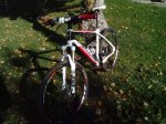 IMG_20131125_105621.jpg