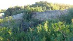 resized_DSC_1396.jpg