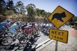 tdu_sign.jpg