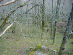DSC05170.JPG