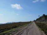 DSC05208.JPG