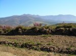Imagen 002.jpg