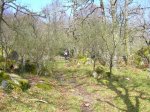 Imagen 031.jpg