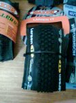 Maxxis Larsen TT 2.0 LUST.jpg