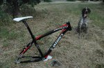 bici spec 2.jpg