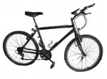negra-bike-web.jpg
