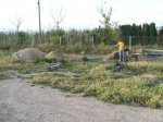DSCF0517.JPG
