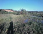Foto0039.jpg