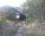 Foto0040.jpg