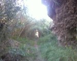 Foto0041.jpg