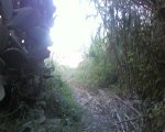 Foto0042.jpg